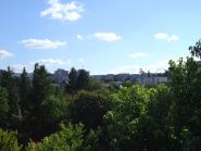 img010.jpeg.small.jpeg