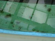 img033.jpeg.small.jpeg