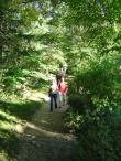 img044.jpeg.small.jpeg
