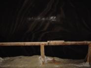 img013.jpeg.small.jpeg