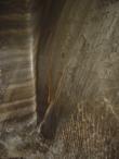 img014.jpeg.small.jpeg